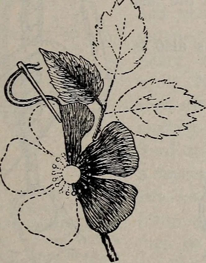 An illustration from A treatise on embroidery, crochet and knitting .., 1899, leaf 10