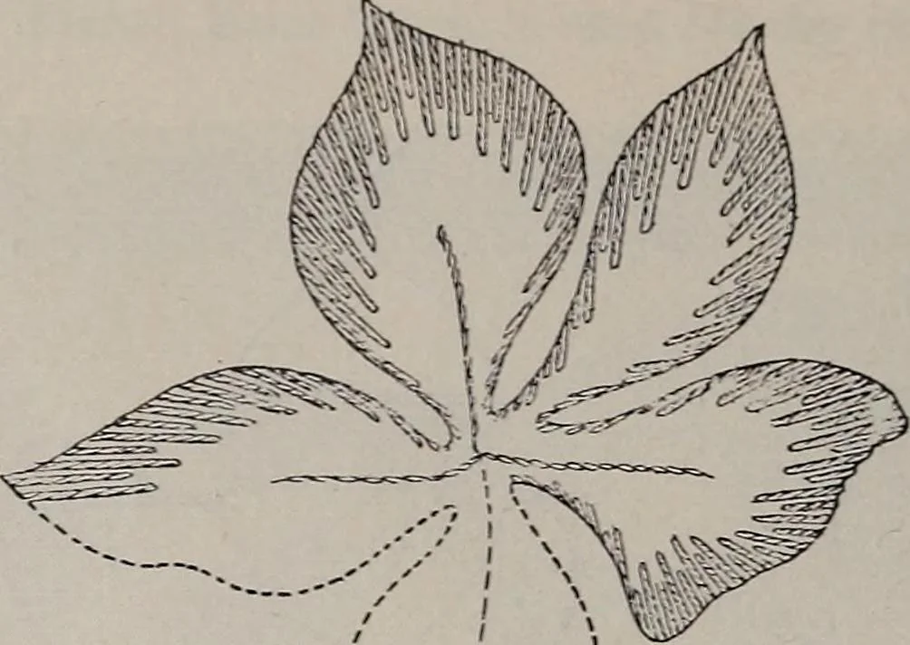An illustration from A treatise on embroidery, crochet and knitting .., 1899, leaf 11
