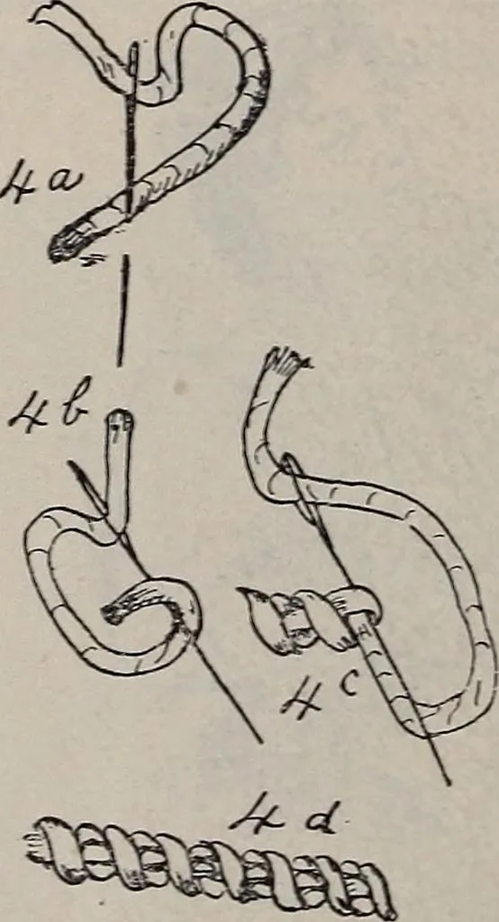 An illustration from A treatise on embroidery, crochet and knitting .., 1899, leaf 11
