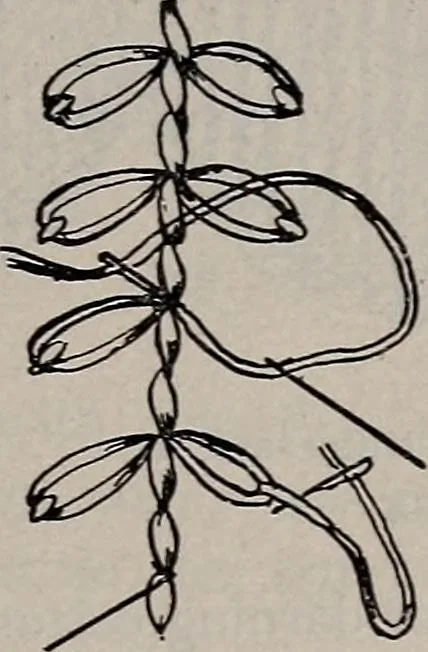An illustration from A treatise on embroidery, crochet and knitting .., 1899, leaf 12