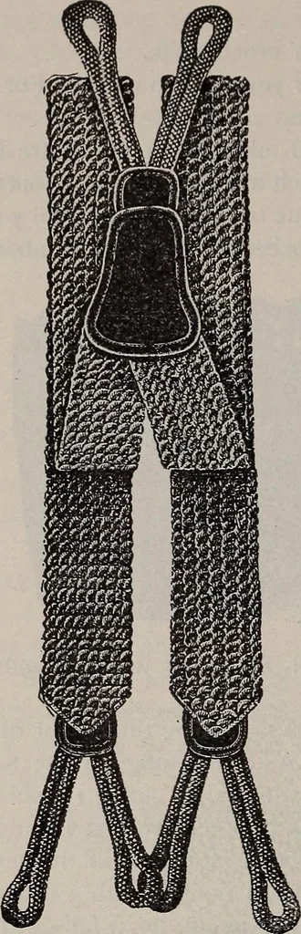 An illustration from A treatise on embroidery, crochet and knitting .., 1899, leaf 127
