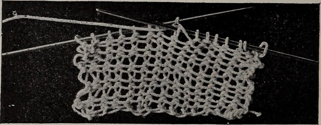 An illustration from A treatise on embroidery, crochet and knitting .., 1899, leaf 133