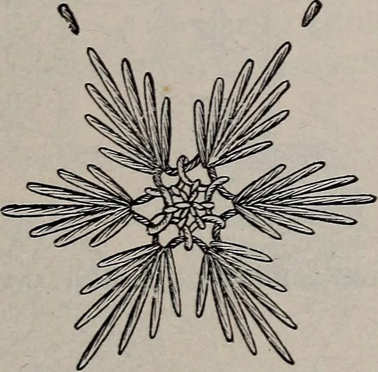 An illustration from A treatise on embroidery, crochet and knitting .., 1899, leaf 14