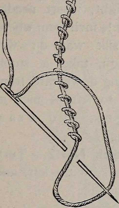 An illustration from A treatise on embroidery, crochet and knitting .., 1899, leaf 16