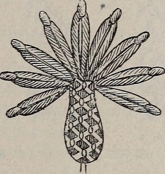 An illustration from A treatise on embroidery, crochet and knitting .., 1899, leaf 16