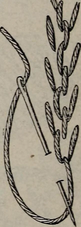 An illustration from A treatise on embroidery, crochet and knitting .., 1899, leaf 17