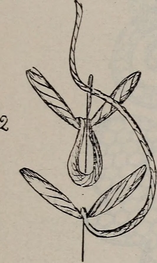 An illustration from A treatise on embroidery, crochet and knitting .., 1899, leaf 18
