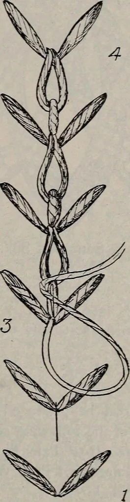 An illustration from A treatise on embroidery, crochet and knitting .., 1899, leaf 18
