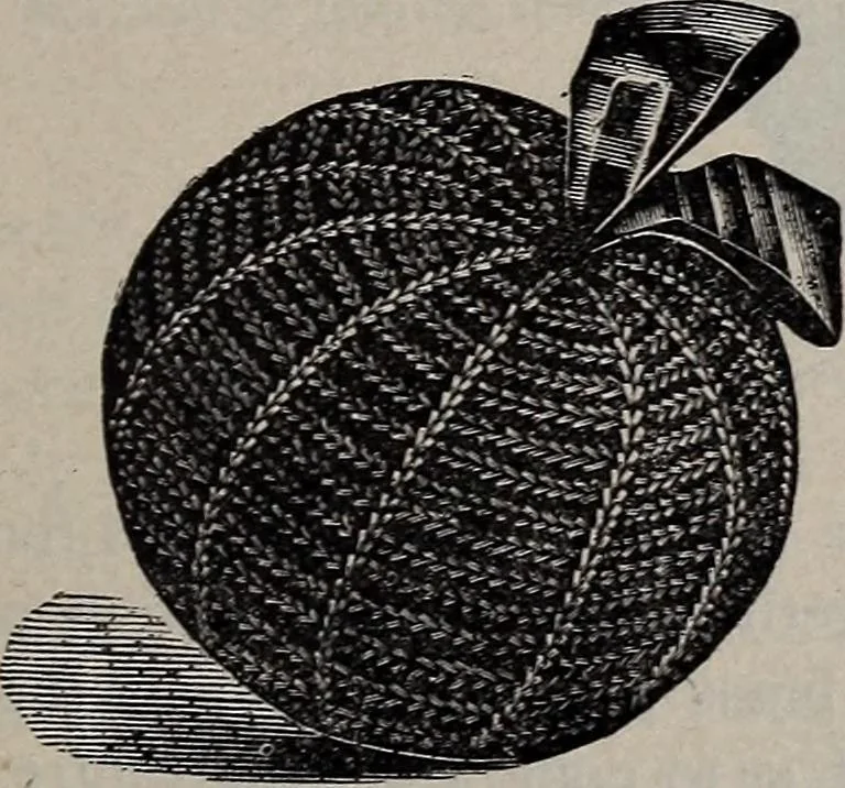 An illustration from A treatise on embroidery, crochet and knitting .., 1899, leaf 180