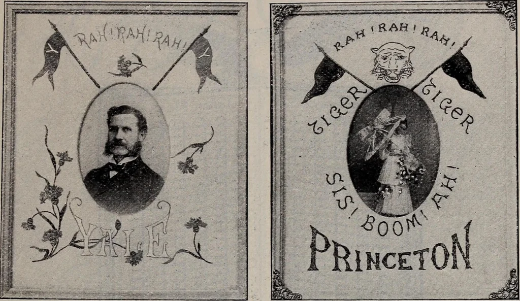 An illustration from A treatise on embroidery, crochet and knitting .., 1899, leaf 24