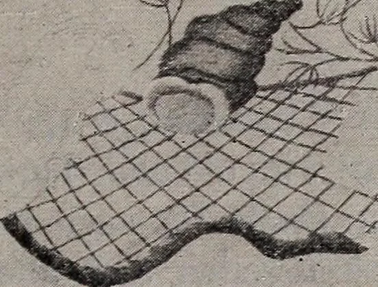An illustration from A treatise on embroidery, crochet and knitting .., 1899, leaf 30