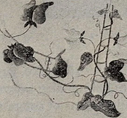 An illustration from A treatise on embroidery, crochet and knitting .., 1899, leaf 30