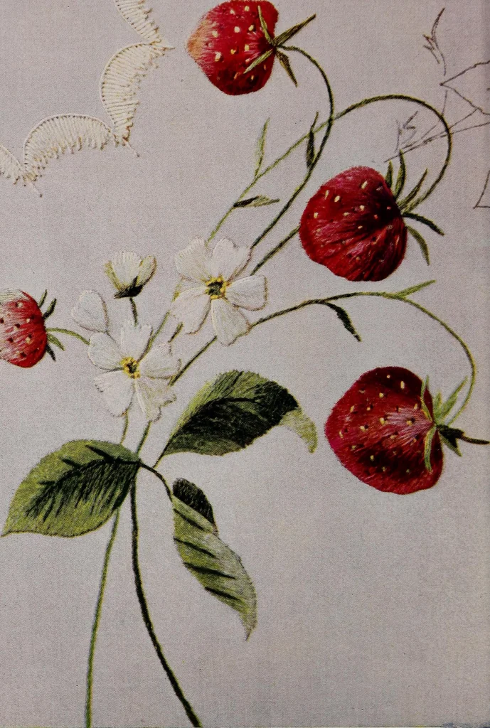 An illustration from A treatise on embroidery, crochet and knitting .., 1899, leaf 33