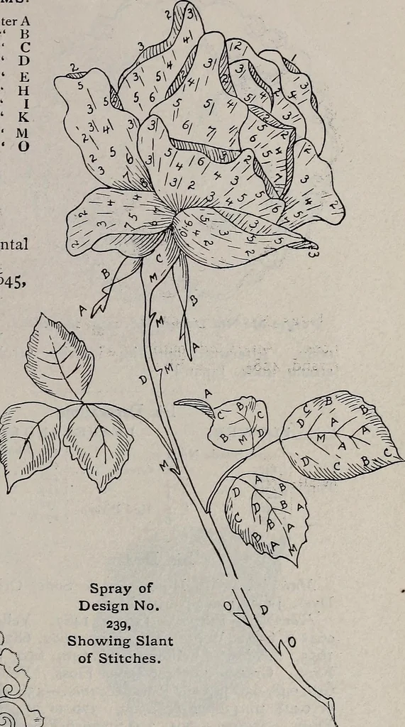 An illustration from A treatise on embroidery, crochet and knitting .., 1899, leaf 38