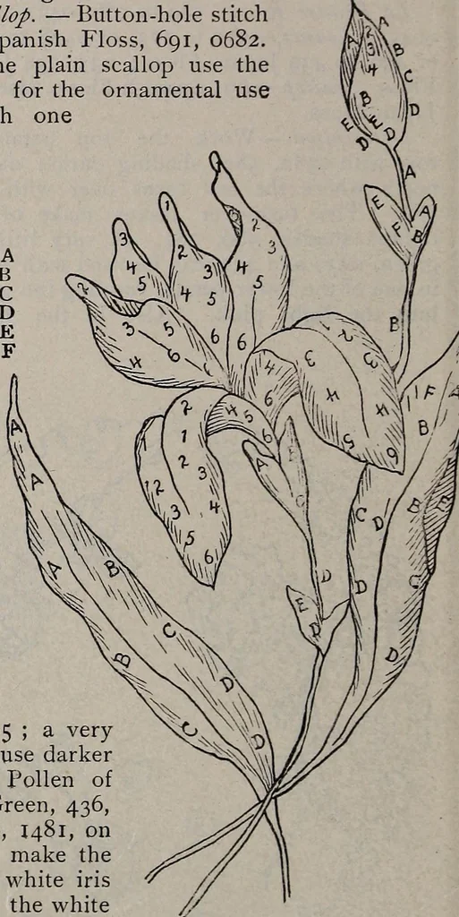An illustration from A treatise on embroidery, crochet and knitting .., 1899, leaf 39