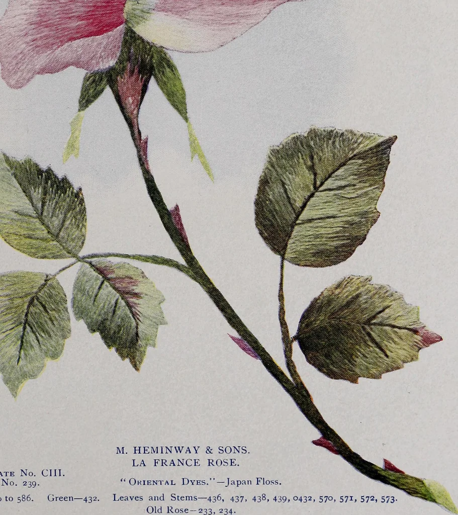 An illustration from A treatise on embroidery, crochet and knitting .., 1899, leaf 40