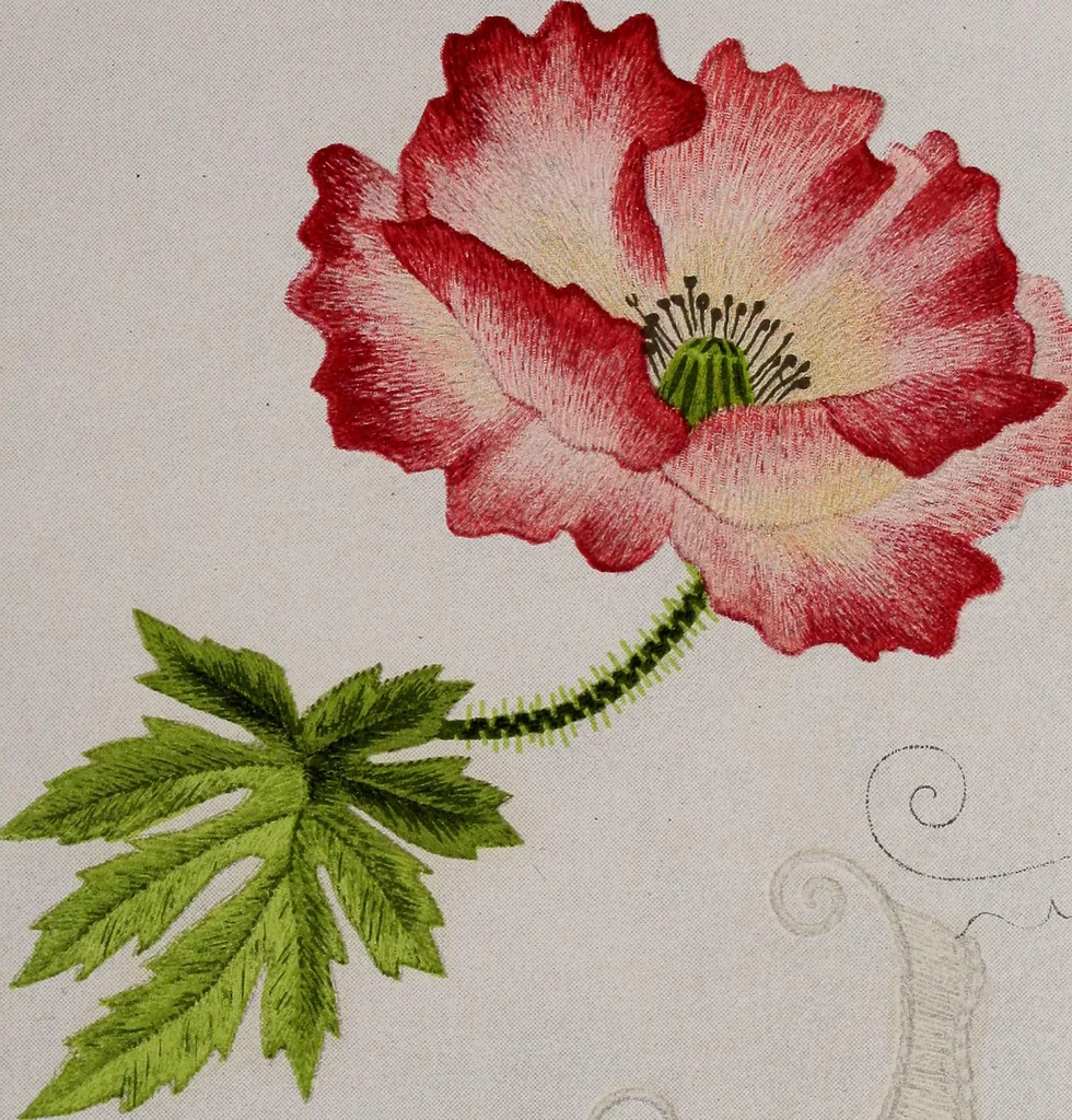 An illustration from A treatise on embroidery, crochet and knitting .., 1899, leaf 44