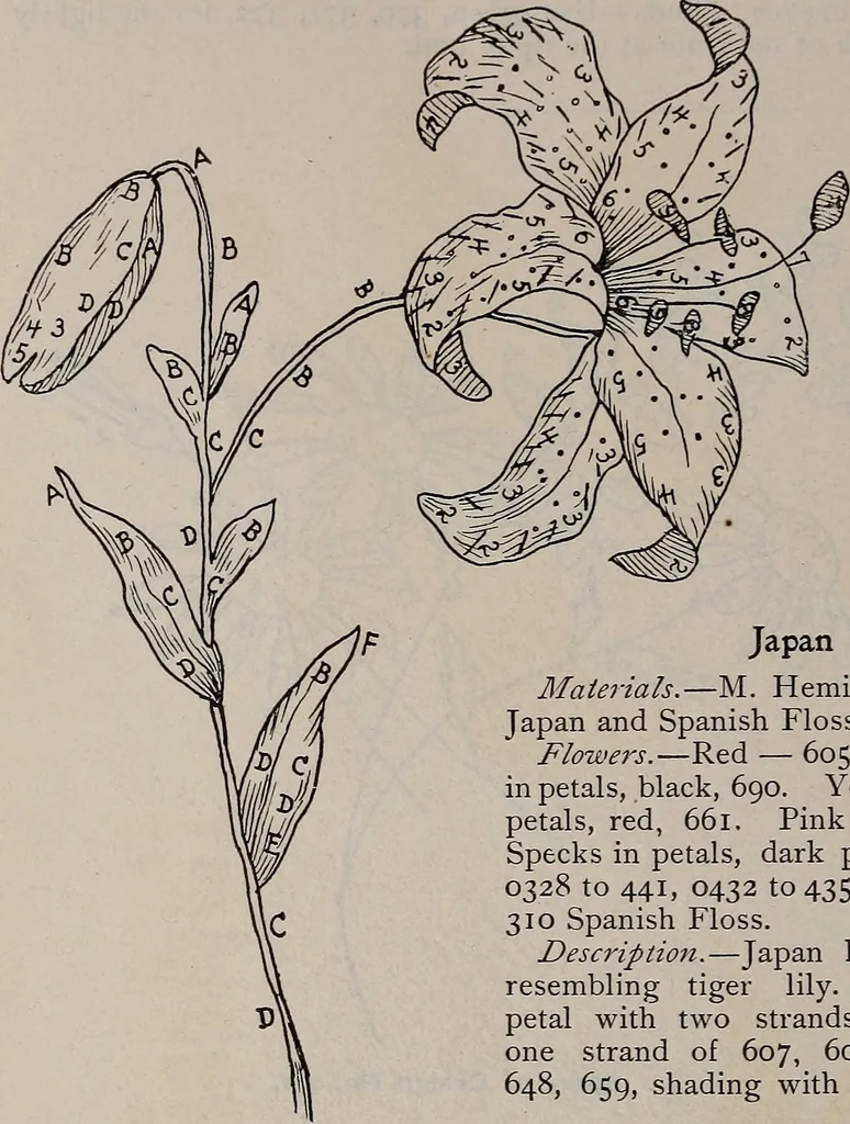 An illustration from A treatise on embroidery, crochet and knitting .., 1899, leaf 47