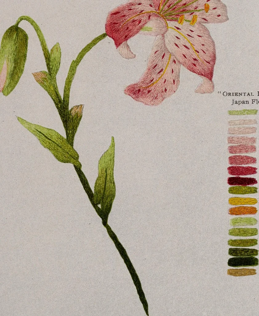 An illustration from A treatise on embroidery, crochet and knitting .., 1899, leaf 48
