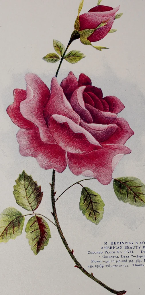 An illustration from A treatise on embroidery, crochet and knitting .., 1899, leaf 55
