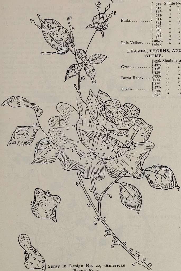 An illustration from A treatise on embroidery, crochet and knitting .., 1899, leaf 56