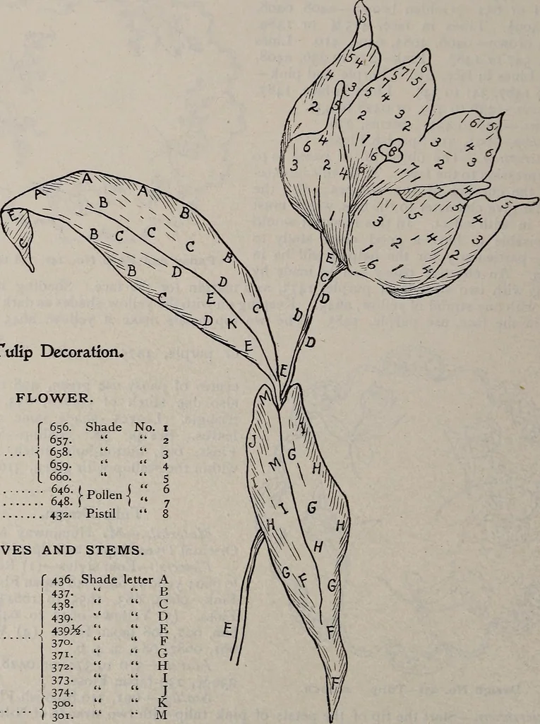 An illustration from A treatise on embroidery, crochet and knitting .., 1899, leaf 61