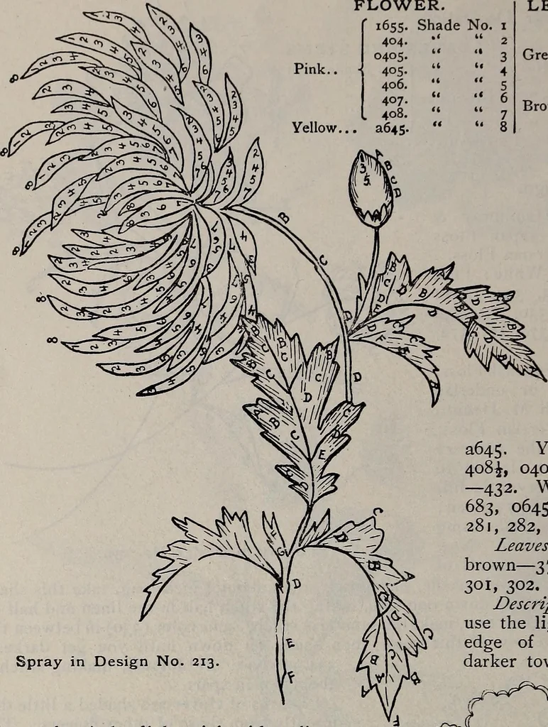 An illustration from A treatise on embroidery, crochet and knitting .., 1899, leaf 67