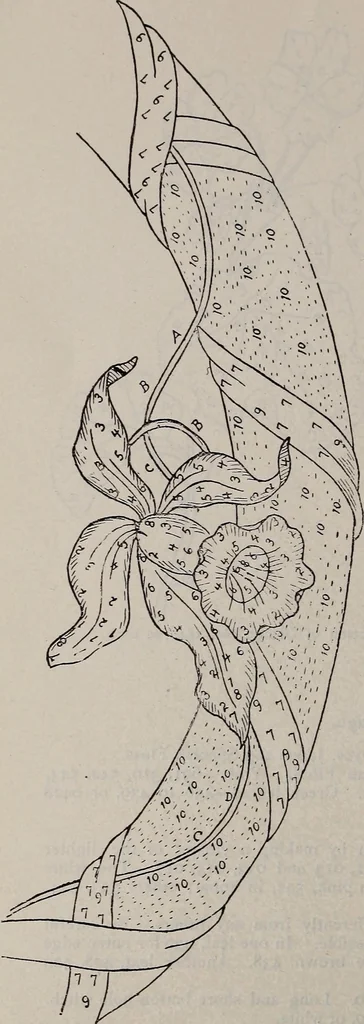 An illustration from A treatise on embroidery, crochet and knitting .., 1899, leaf 71
