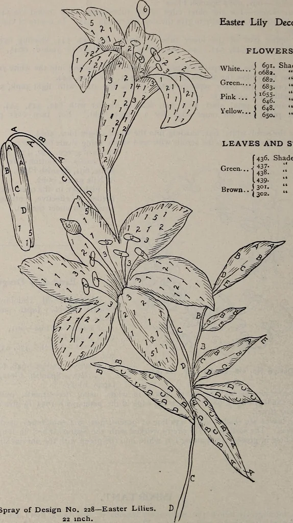 An illustration from A treatise on embroidery, crochet and knitting .., 1899, leaf 75