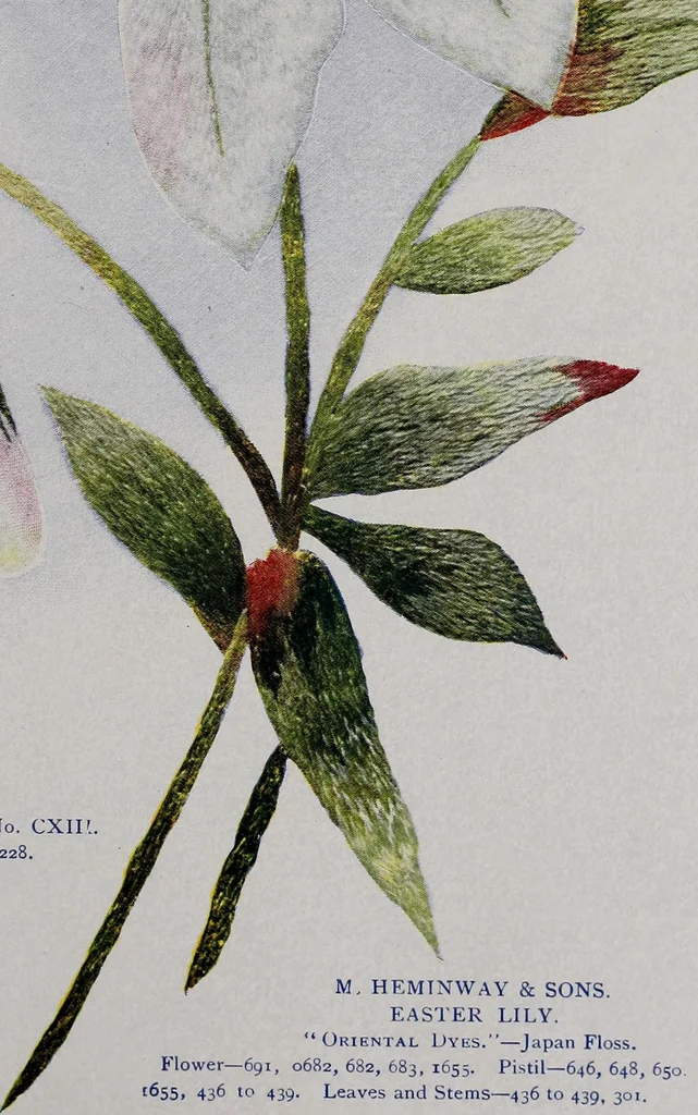 An illustration from A treatise on embroidery, crochet and knitting .., 1899, leaf 76