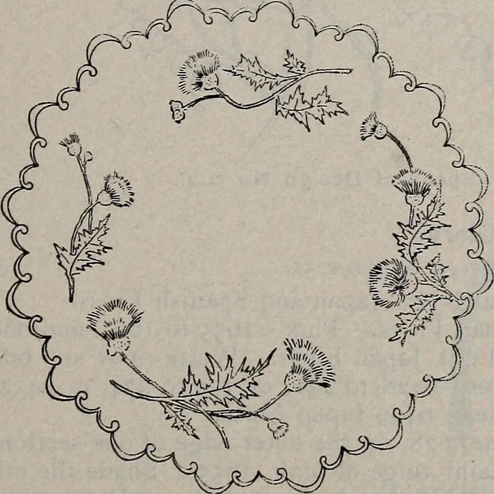 An illustration from A treatise on embroidery, crochet and knitting .., 1899, leaf 78