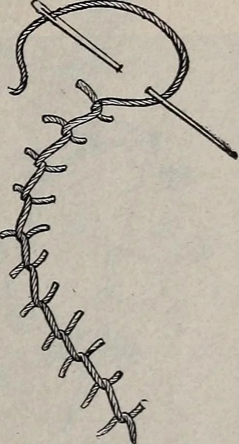 An illustration from A treatise on embroidery, crochet and knitting .., 1899, leaf 8
