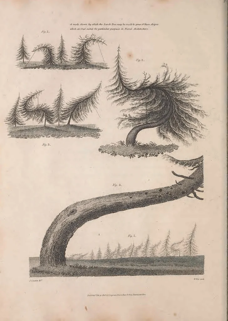 An illustration from A treatise on forming, improving, and managing country residences : and on the choice of situations appropriate to every class of purchasers. In all which the object in view is to unite in a better manner than has hitherto been done, a taste founded in nature with economy and utility, in constructing or improving mansions, and other rural buildings, so as to combine architectural fitness with picturesque effect, and in forming gardens, orchards, farms, parks, pleasure-grounds, shrubberies, all kinds of useful or decorative plantations, and every object of convenience or beauty peculiar to country seats, according to the extent, character, or style of situations, and the rank, fortune, and expenditure of proprietors, from the cottage to the palace. With an appendix, containing an enquiry into the utility and merits of Mr. Repton's mode of shewing effects by slides and sketches, and strictures on his opinions and practice in landscape gardening. Illustrated by descriptions of scenery and buildings, by references to country seats, and passages of country in most parts of Great Britain, and by thirty-two engravings, 1806, leaf 143