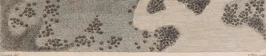 An illustration from A treatise on forming, improving, and managing country residences : and on the choice of situations appropriate to every class of purchasers. In all which the object in view is to unite in a better manner than has hitherto been done, a taste founded in nature with economy and utility, in constructing or improving mansions, and other rural buildings, so as to combine architectural fitness with picturesque effect, and in forming gardens, orchards, farms, parks, pleasure-grounds, shrubberies, all kinds of useful or decorative plantations, and every object of convenience or beauty peculiar to country seats, according to the extent, character, or style of situations, and the rank, fortune, and expenditure of proprietors, from the cottage to the palace. With an appendix, containing an enquiry into the utility and merits of Mr. Repton's mode of shewing effects by slides and sketches, and strictures on his opinions and practice in landscape gardening. Illustrated by descriptions of scenery and buildings, by references to country seats, and passages of country in most parts of Great Britain, and by thirty-two engravings, 1806, leaf 206