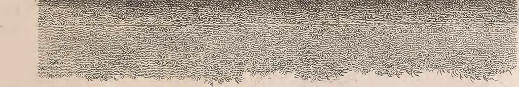 An illustration from A treatise on forming, improving, and managing country residences : and on the choice of situations appropriate to every class of purchasers. In all which the object in view is to unite in a better manner than has hitherto been done, a taste founded in nature with economy and utility, in constructing or improving mansions, and other rural buildings, so as to combine architectural fitness with picturesque effect, and in forming gardens, orchards, farms, parks, pleasure-grounds, shrubberies, all kinds of useful or decorative plantations, and every object of convenience or beauty peculiar to country seats, according to the extent, character, or style of situations, and the rank, fortune, and expenditure of proprietors, from the cottage to the palace. With an appendix, containing an enquiry into the utility and merits of Mr. Repton's mode of shewing effects by slides and sketches, and strictures on his opinions and practice in landscape gardening. Illustrated by descriptions of scenery and buildings, by references to country seats, and passages of country in most parts of Great Britain, and by thirty-two engravings, 1806, leaf 78