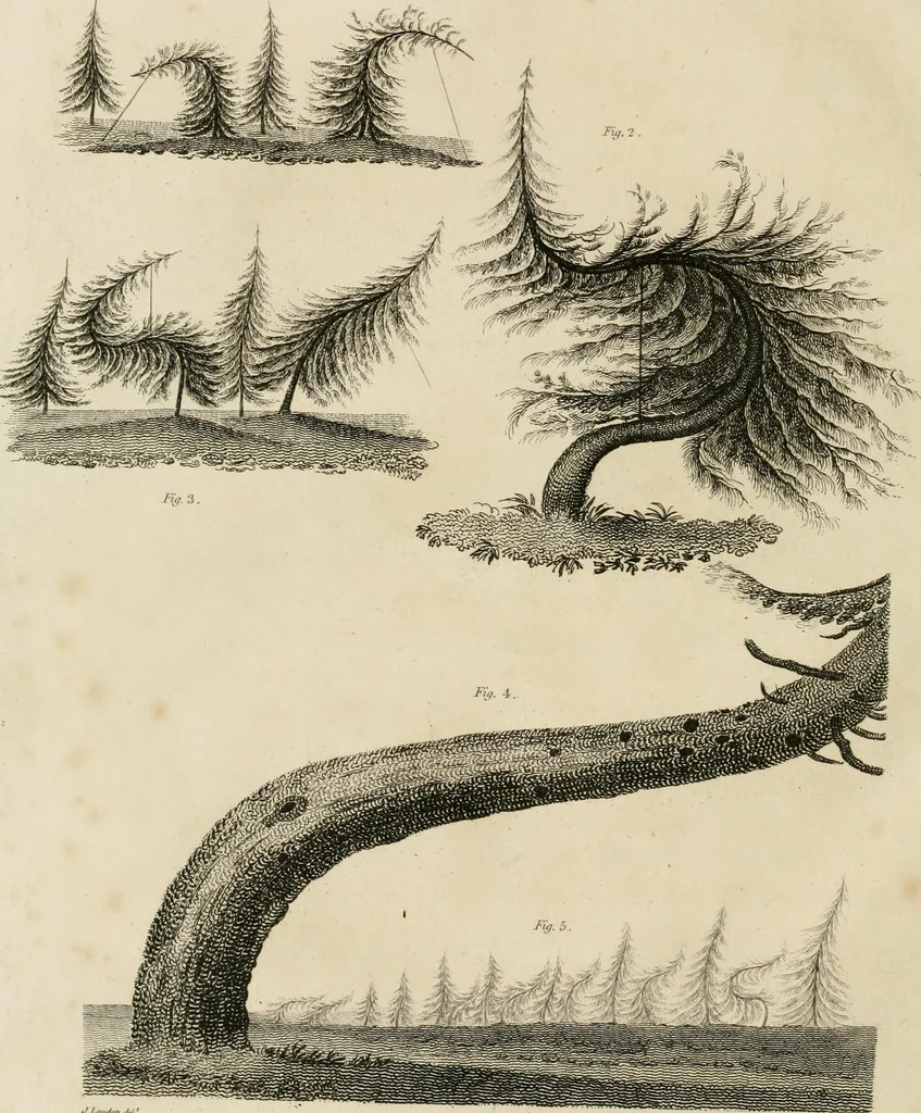 An illustration from A treatise on forming, improving, and managing country residences : and on the choice of situations appropriate to every class of purchasers, in all which the object in view is to unite in a better manner than has hitherto been done, a taste founded in nature with economy and utility, in constructing or improving mansions, and other rural buildings, so as to combine architectural fitness with picturesque effect ... : with an appendix, containing an enquiry into the utility and merits of Mr. Repton's mode of shewing effects by slides and sketches, and strictures on his opinions and practice in landscape gardening : illustrated by descriptions of scenery and buildings, by references to country seats, and passages of country in most parts of Great Britain, and by thirty-two engravings, 1806, leaf 143