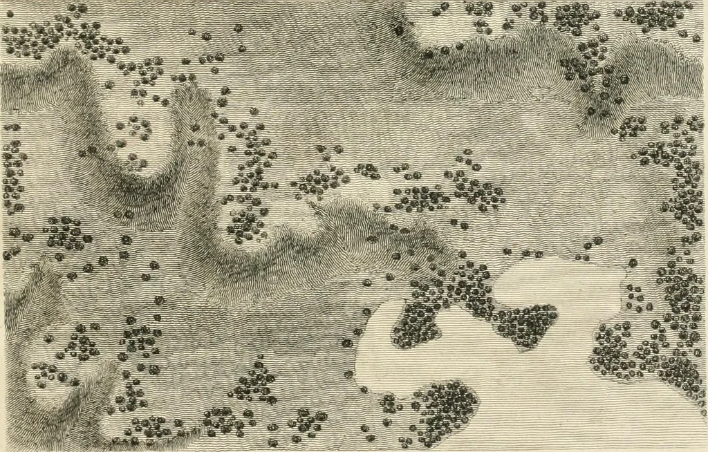 An illustration from A treatise on forming, improving, and managing country residences : and on the choice of situations appropriate to every class of purchasers, in all which the object in view is to unite in a better manner than has hitherto been done, a taste founded in nature with economy and utility, in constructing or improving mansions, and other rural buildings, so as to combine architectural fitness with picturesque effect ... : with an appendix, containing an enquiry into the utility and merits of Mr. Repton's mode of shewing effects by slides and sketches, and strictures on his opinions and practice in landscape gardening : illustrated by descriptions of scenery and buildings, by references to country seats, and passages of country in most parts of Great Britain, and by thirty-two engravings, 1806, leaf 206