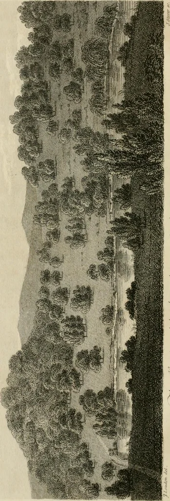 An illustration from A treatise on forming, improving, and managing country residences : and on the choice of situations appropriate to every class of purchasers, in all which the object in view is to unite in a better manner than has hitherto been done, a taste founded in nature with economy and utility, in constructing or improving mansions, and other rural buildings, so as to combine architectural fitness with picturesque effect ... : with an appendix, containing an enquiry into the utility and merits of Mr. Repton's mode of shewing effects by slides and sketches, and strictures on his opinions and practice in landscape gardening : illustrated by descriptions of scenery and buildings, by references to country seats, and passages of country in most parts of Great Britain, and by thirty-two engravings, 1806, leaf 43