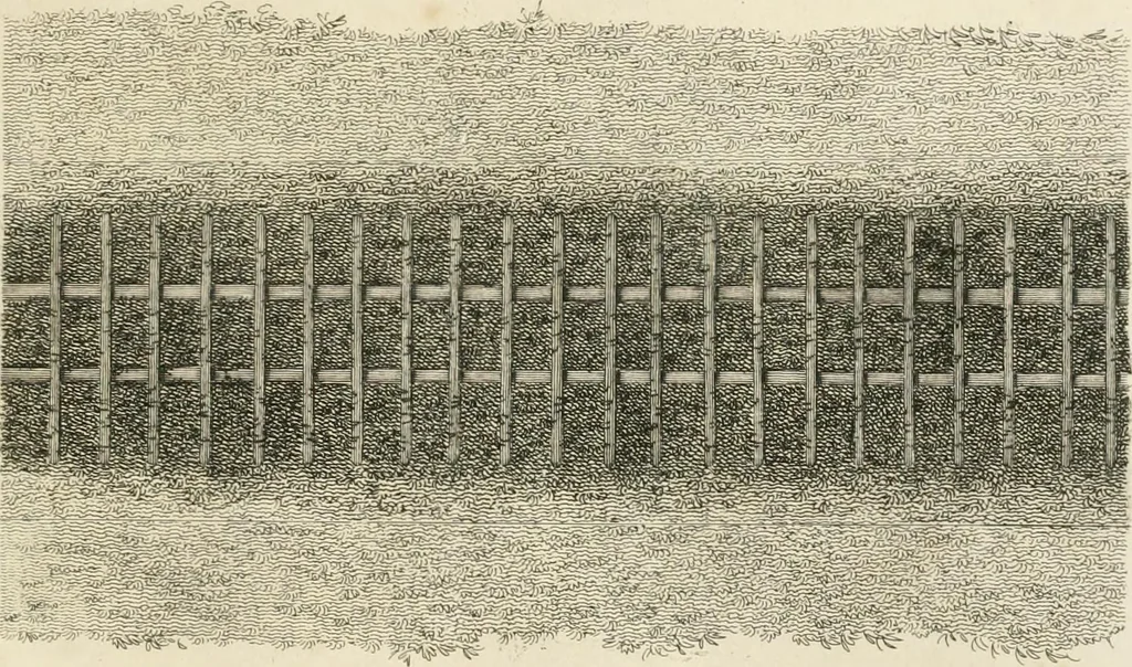 An illustration from A treatise on forming, improving, and managing country residences : and on the choice of situations appropriate to every class of purchasers, in all which the object in view is to unite in a better manner than has hitherto been done, a taste founded in nature with economy and utility, in constructing or improving mansions, and other rural buildings, so as to combine architectural fitness with picturesque effect ... : with an appendix, containing an enquiry into the utility and merits of Mr. Repton's mode of shewing effects by slides and sketches, and strictures on his opinions and practice in landscape gardening : illustrated by descriptions of scenery and buildings, by references to country seats, and passages of country in most parts of Great Britain, and by thirty-two engravings, 1806, leaf 78