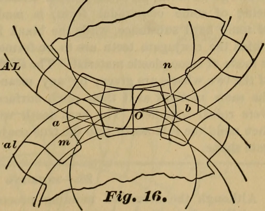 An illustration from A treatise on gear wheels, 1904, leaf 12