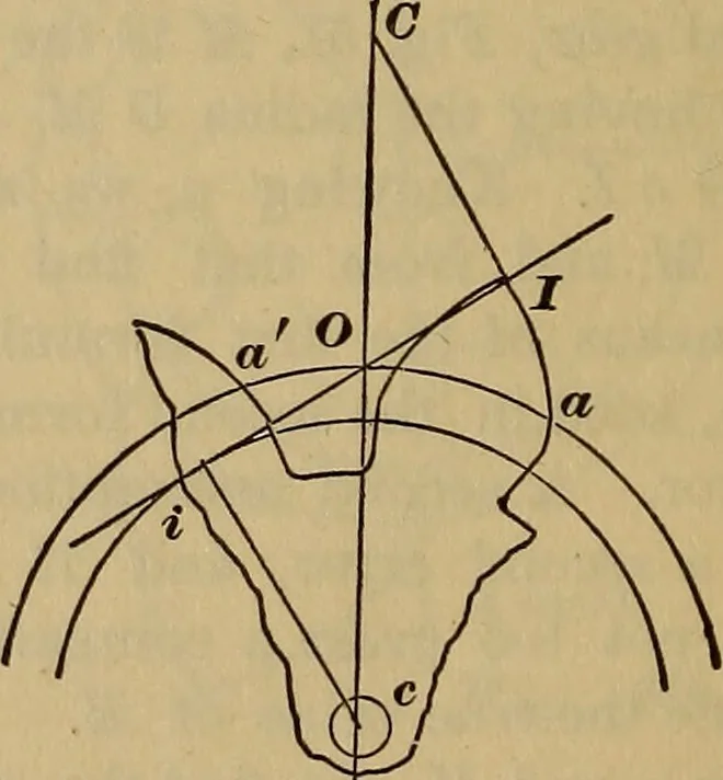 An illustration from A treatise on gear wheels, 1904, leaf 39
