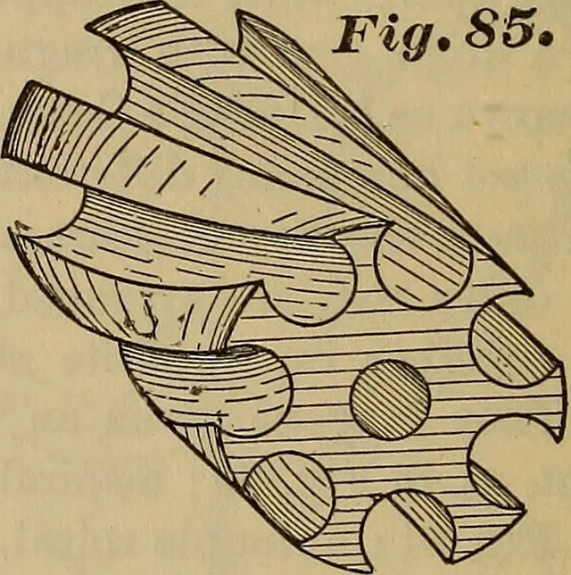 An illustration from A treatise on gear wheels, 1904, leaf 55