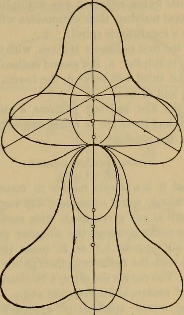 An illustration from A treatise on gear wheels, 1904, leaf 72