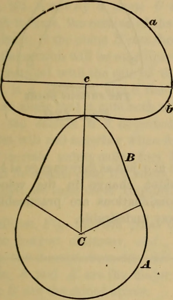An illustration from A treatise on gear wheels, 1904, leaf 74