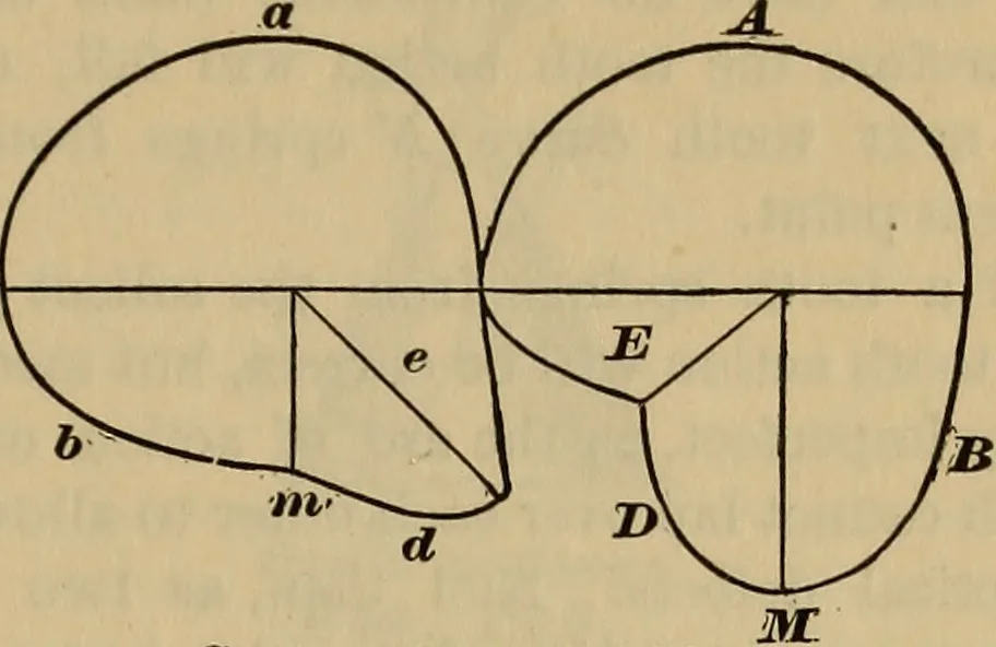 An illustration from A treatise on gear wheels, 1904, leaf 74