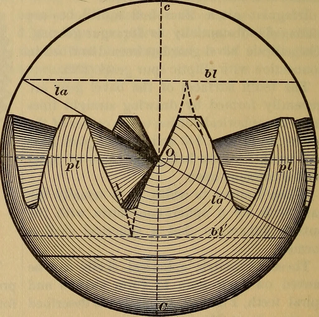 An illustration from A treatise on gear wheels, 1904, leaf 89