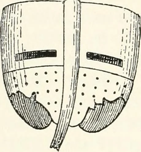 An illustration from A treatise on heraldry, British and foreign : with English and French glossaries, 1896, leaf 465