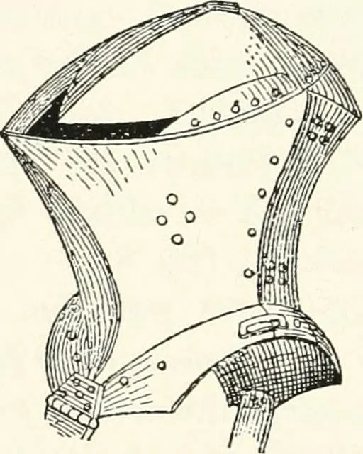 An illustration from A treatise on heraldry, British and foreign : with English and French glossaries, 1896, leaf 465