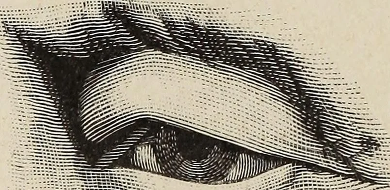 An illustration from A treatise on human nature and physiognomy, 1882, leaf 163