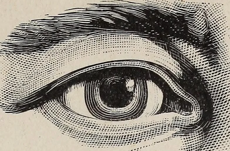 An illustration from A treatise on human nature and physiognomy, 1882, leaf 188